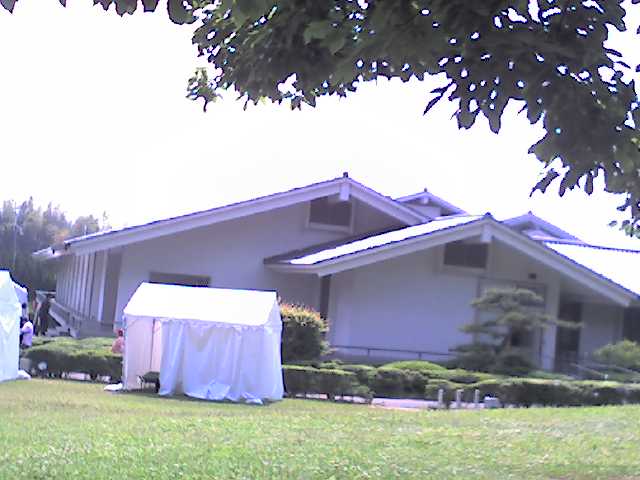 29c0251c.jpg