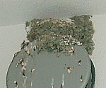 2cf8759e.jpg