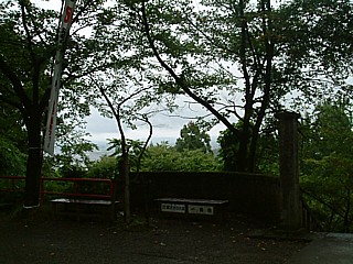 3116475d.jpg