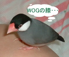 34b22f36.jpg