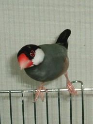 436926b6.jpg