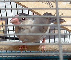 70b85c46.jpg