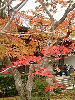 7a070864.jpg