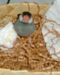 896c7e48.jpg