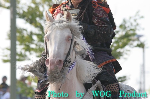 2010kenshin_marebochan