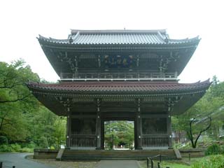 909b4596.jpg