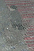 a50275f3.jpg