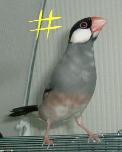 c42e6f8b.jpg