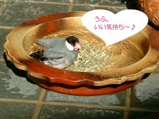 cb636027.jpg