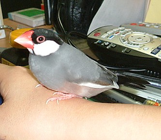 d7011dc8.jpg