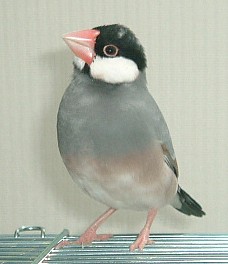 dfa285d2.jpg