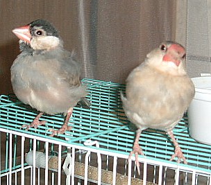e227b5d8.jpg