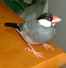 e64c4c7b.jpg
