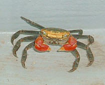 f7363119.jpg