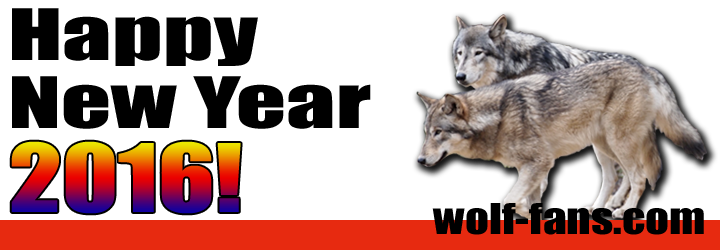 狼 狼大好き Wolf Fans Com