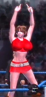 MEIKO¡¡Ver1¡¡SVR2007