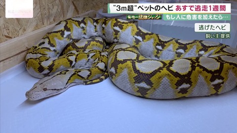 20210515-00010002-kantele-000-1-view