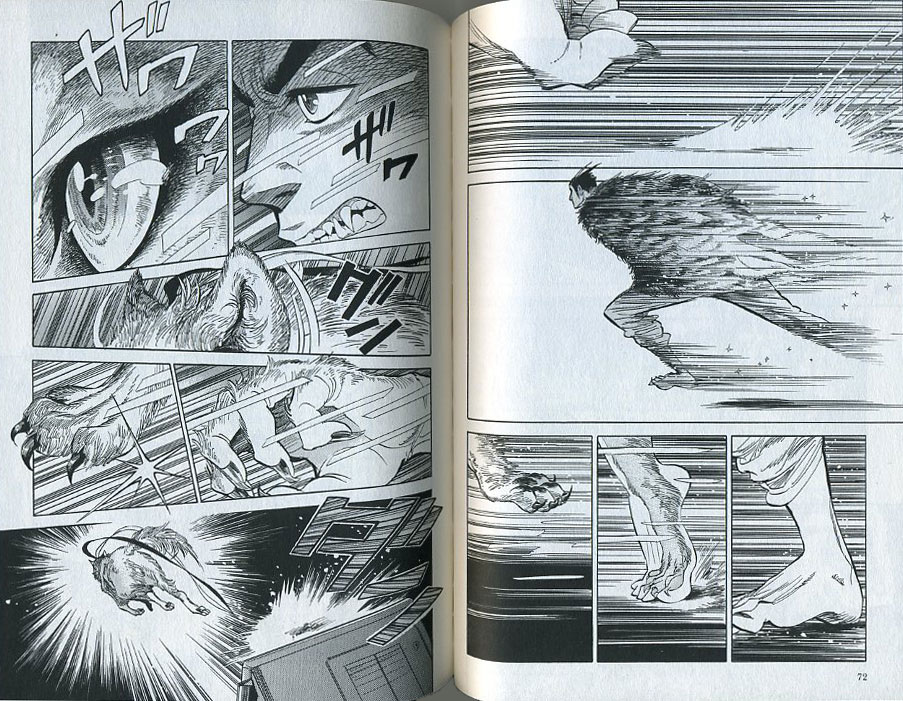 乱と灰色の世界 狼の眉 乱と灰色の世界 狼の眉