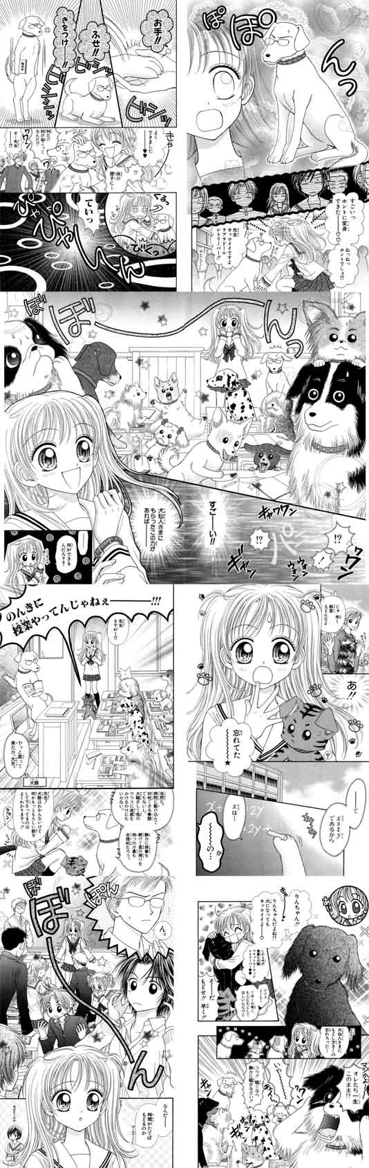ラブわん 狼の眉 ラブわん 狼の眉