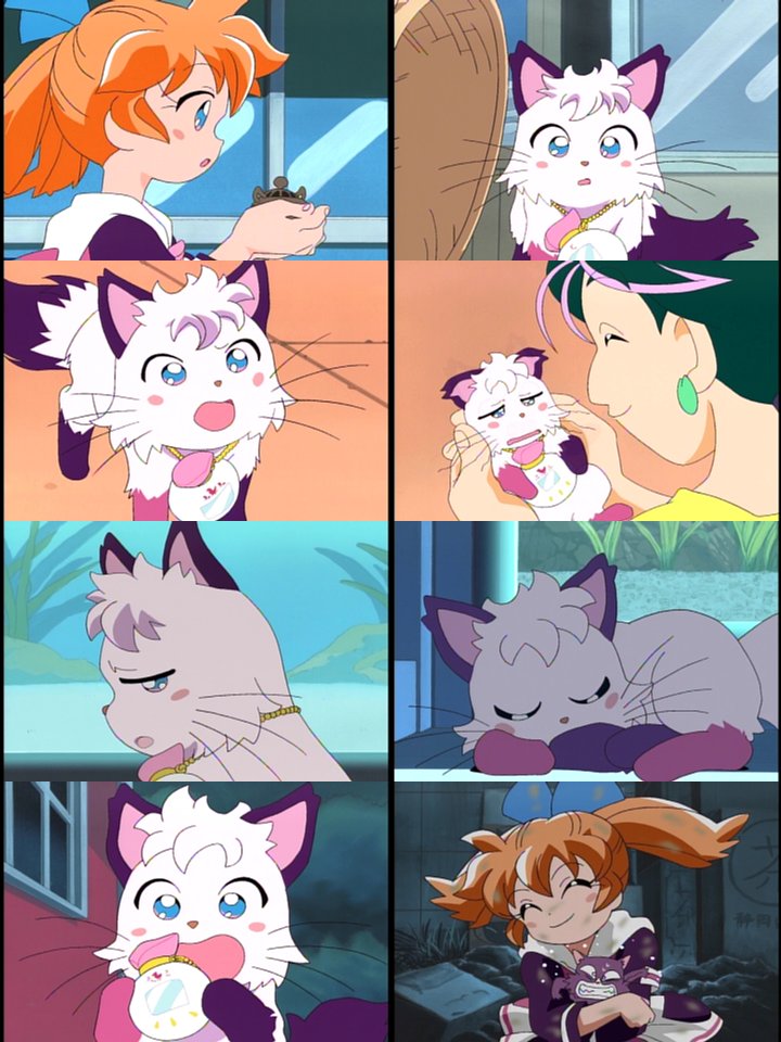 ファンファンファーマシー : 狼の眉