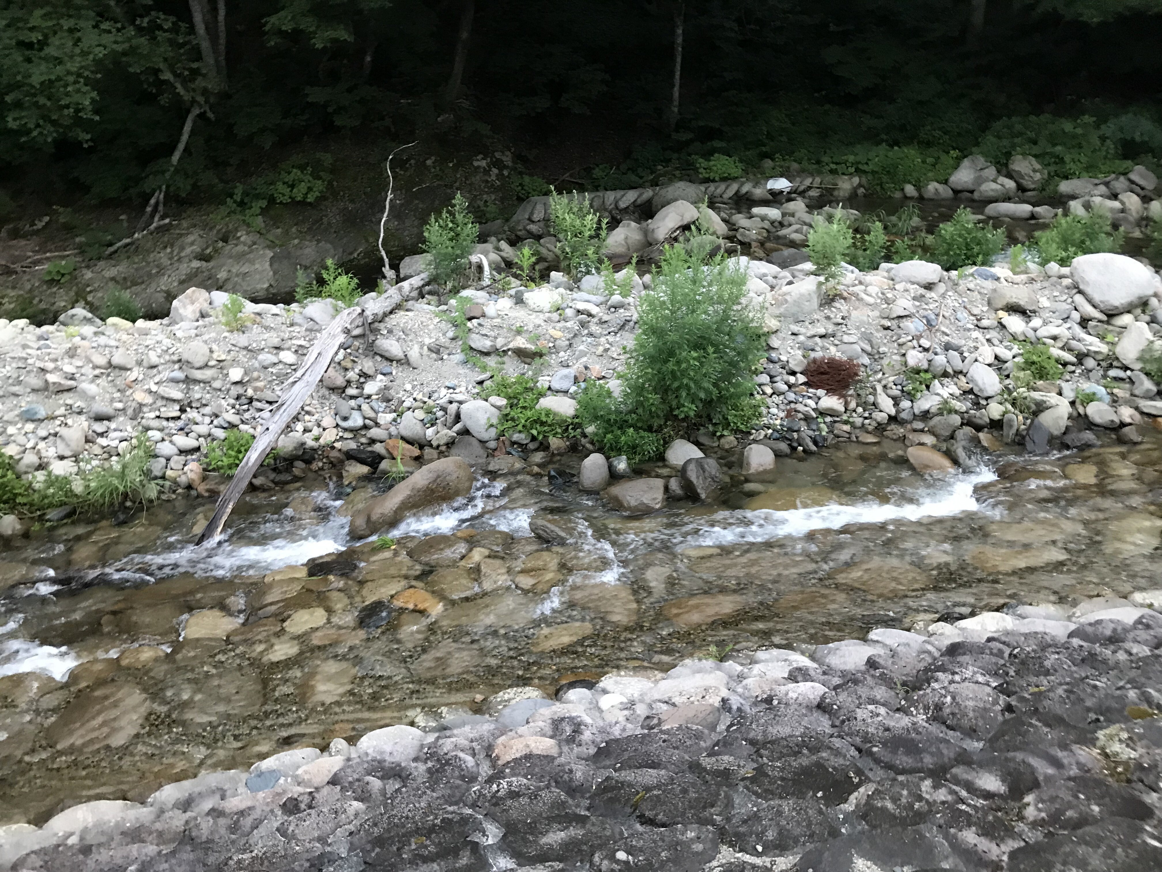道の駅 山口温泉 きらら２８９ ｄａｈｏｎなの