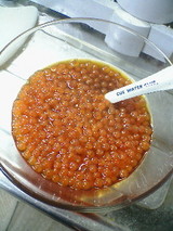 3db3bcf6.jpg
