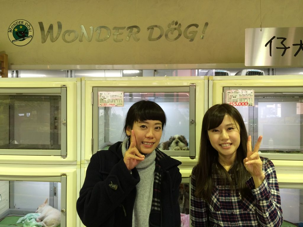 Air G ラジオ中継 アイちゃん ドルくんの おきらく日記 Air G ラジオ中継 アイちゃん ドルくんの おきらく日記