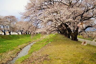 s-_DSC0371 (2)
