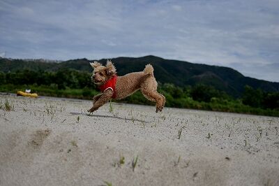 s-DSC_7610