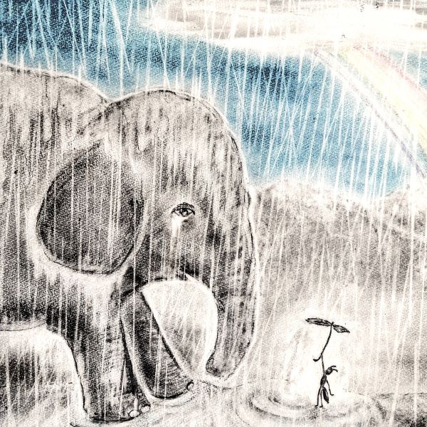 IMG_20240228_125719-EDIT1144