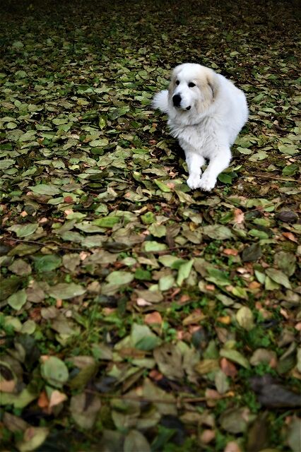 s-DSC_5376 (2)