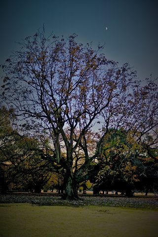 s-_DSC5571 (2)
