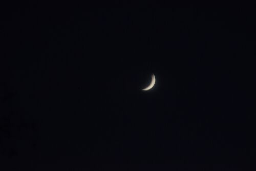 s-_DSC4982