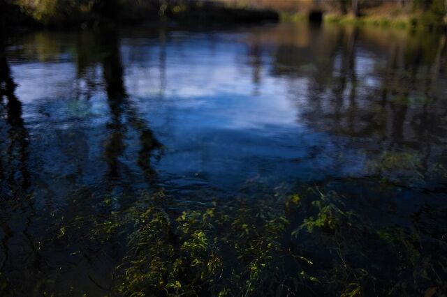 s-DSC_5638