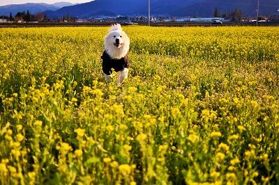 s-_DSC9772 (2)