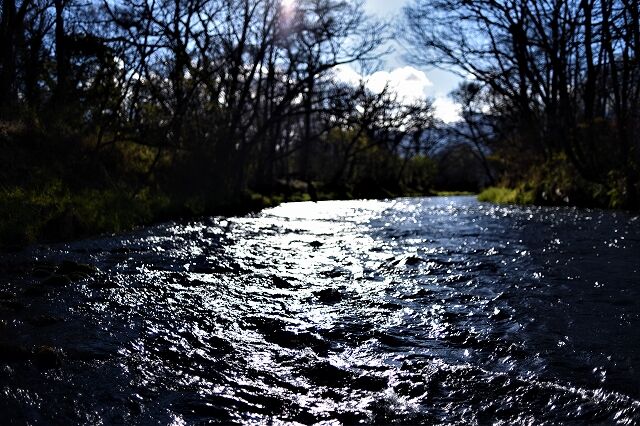 s-DSC_5692