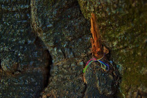 s-_DSC5519 (2)