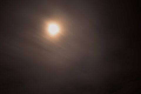 s-_DSC5680 (2)