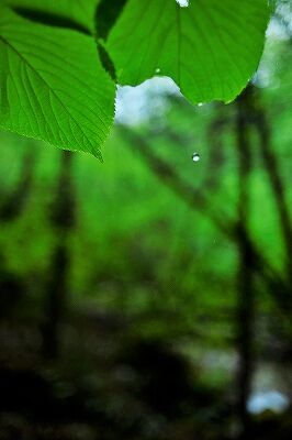 s-_DSC2852 (2)