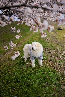 s-_DSC0434 (2)