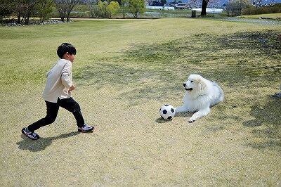 s-_DSC1294 (2)