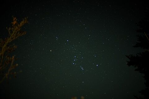 s-_DSC5031 (2)