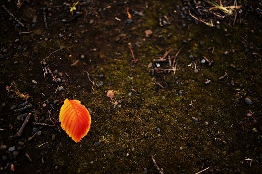 s-_DSC4544 (2)