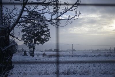 s-_DSC5628