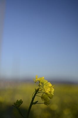 s-_DSC9809