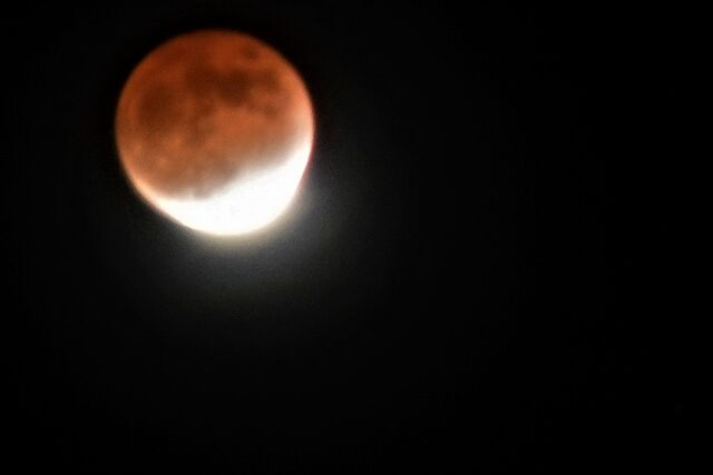 s-DSC_5224 (3)
