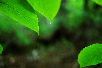 s-_DSC2625 (2)
