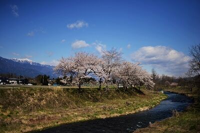 s-_DSC9825 (2)