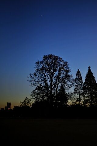s-_DSC5565 (2)