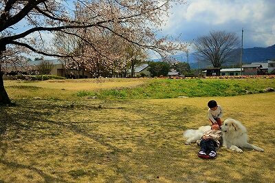 s-_DSC1299 (2)